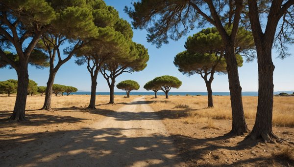 A la découverte des espaces naturels autour de sérignan